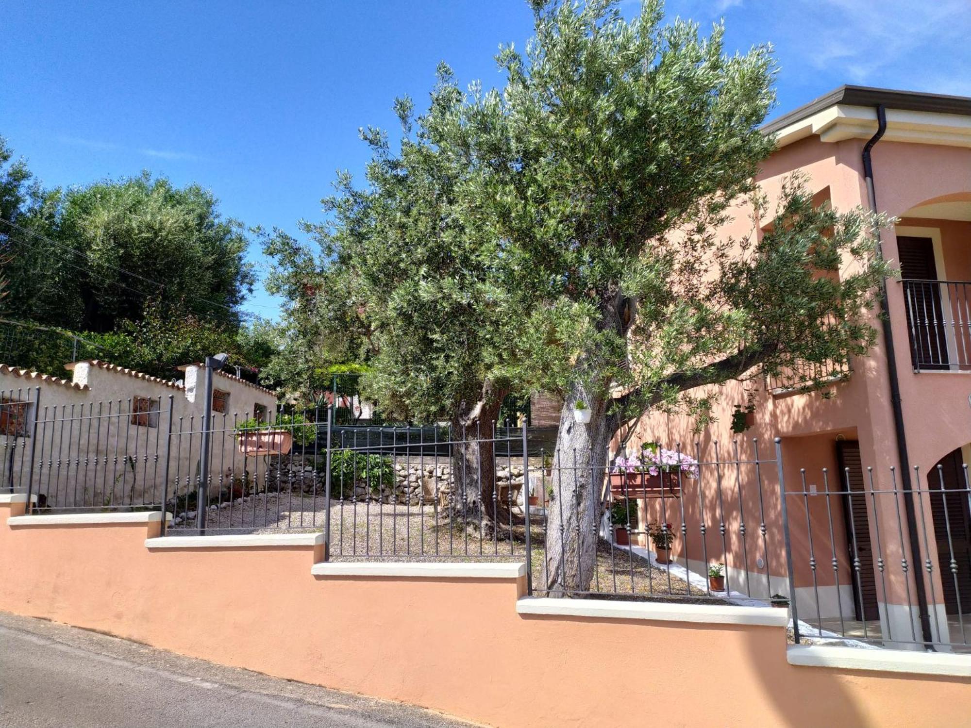 Residence Russo Marina di Camerota Bagian luar foto